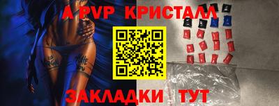 шишки Будённовск