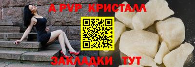 шишки Будённовск